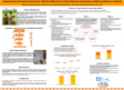 Thumbnail image of the Impact of Voluntary Community Health Workers on Reproductive, Maternal & Child Health in Ethiopia poster.
